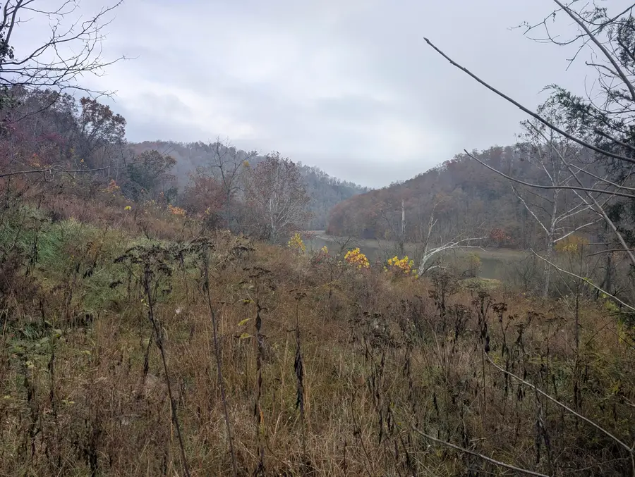 Lot # 8 Long Beard Lane, Tazewell, TN 37879 - Image #2