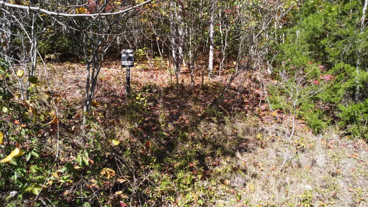 Lot 27 Bayside Boulevard, Bean Station, TN 37708 - Image #1