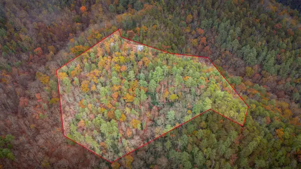 1272 Peach Orchard Way, Del Rio, TN 37727