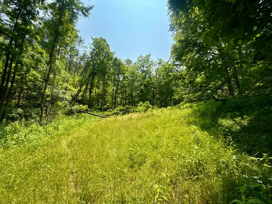 99/AC NW Tbd Copperhead Hollow Road, Mountain City, TN 37683 - Image #2