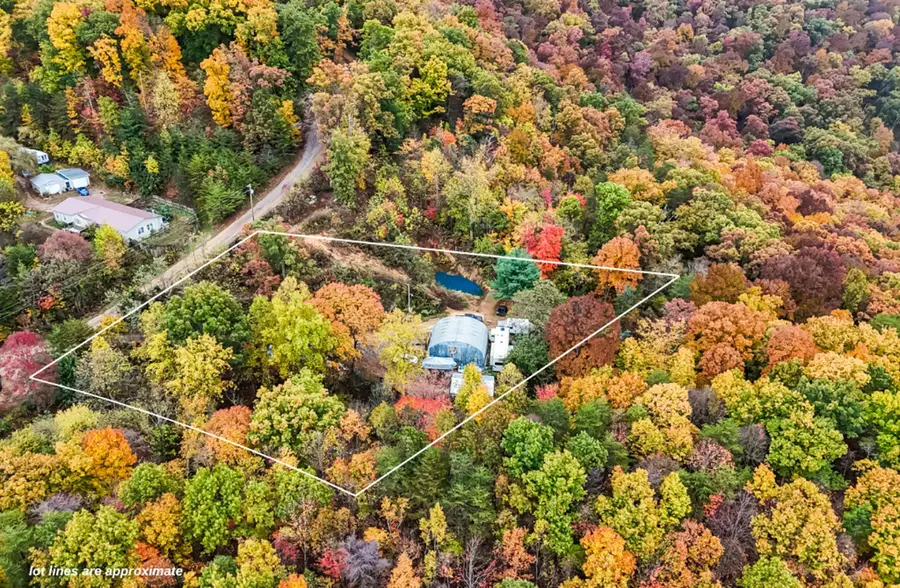 1389 Neddy Mountain Road, Del Rio, TN 37727 - Image #3