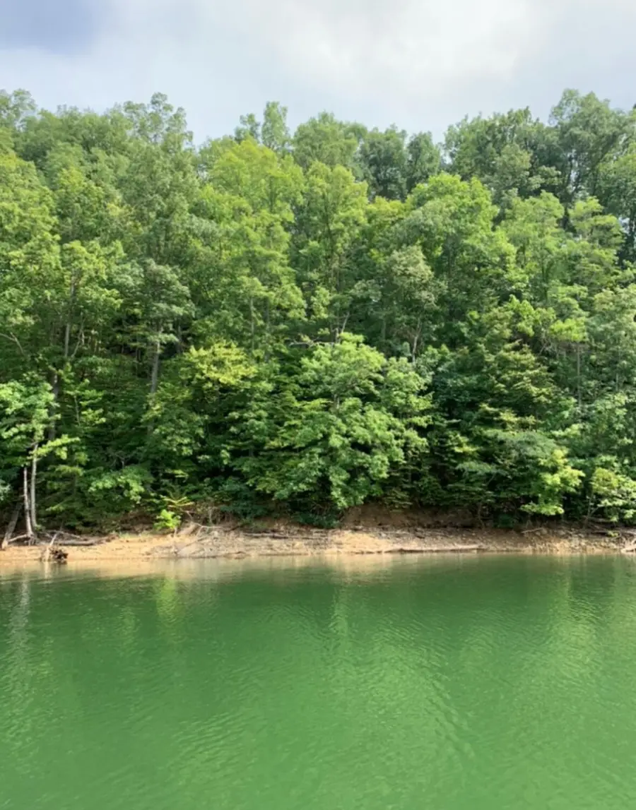 2763 Spiral Drive, Dandridge, TN 37725 - Image #2