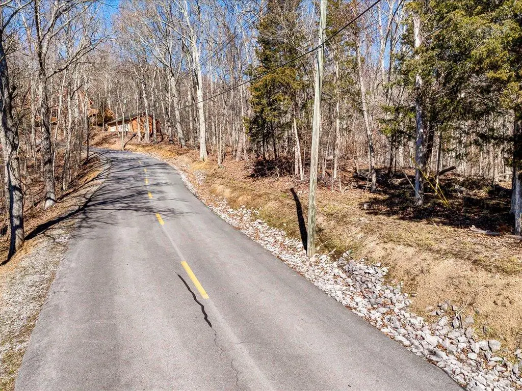 273 Chelaque Way, Mooresburg, TN 37811 - Image #1