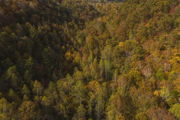 0 Livesay Chapel Road, Kyles Ford, TN 37765