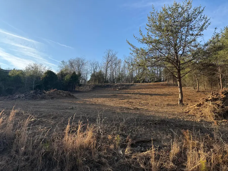 Lot 19 English Fields Drive, Newport, TN 37821 - #2