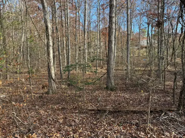 Lot 39 Hummingbird Lane, Newport, TN 37821