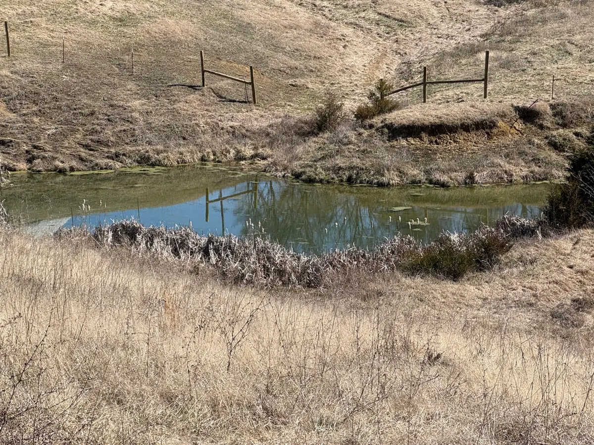 0 Whitehorn Rd, Bulls Gap, TN 37711 - #1