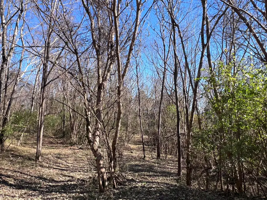 OFF Jefferson St Off Street, White Pine, TN 37890 - Image #3