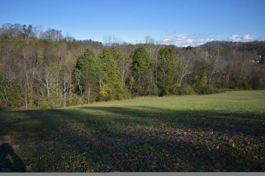 lot 4 Constitution Drive, Dandridge, TN 37725 - Image #3