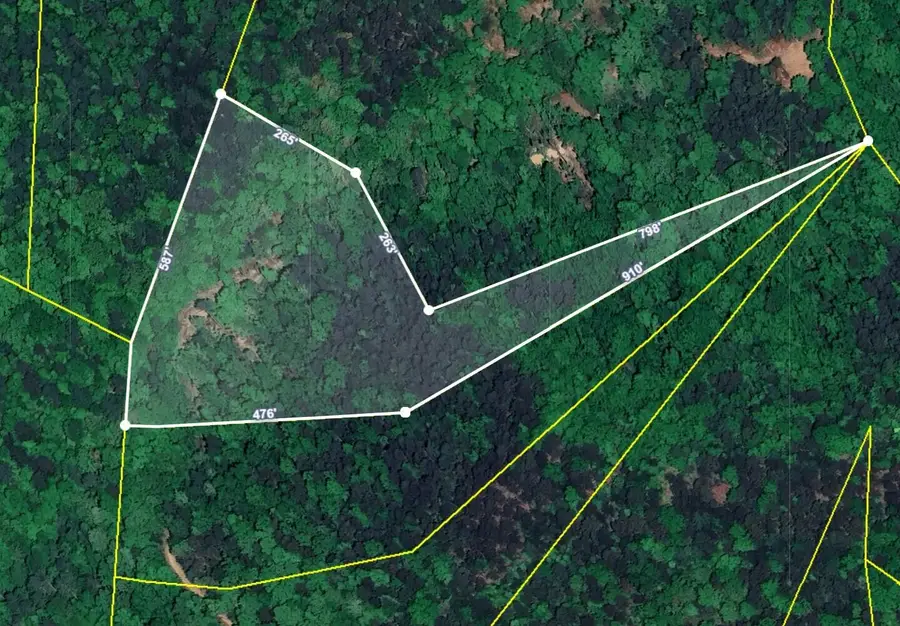 5.29 acres Off Hwy 107s, Del Rio, TN 37727 - Image #2