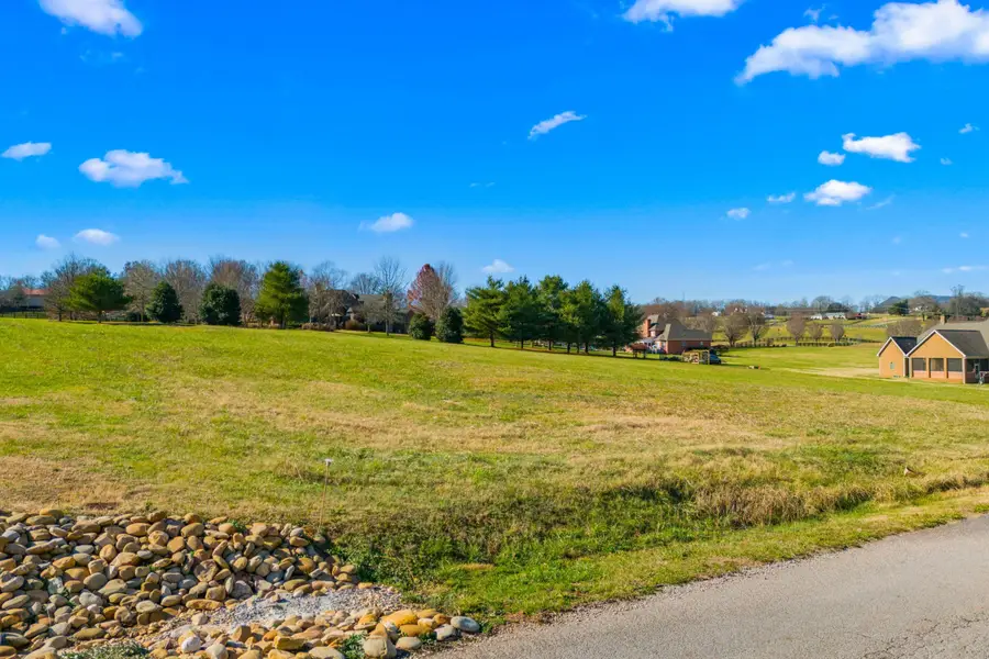 Lot 66 River Dr Drive, Blaine, TN 37709 - Image #2