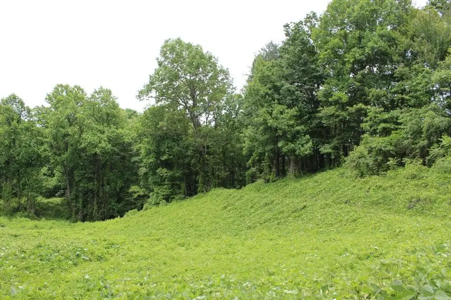 TBD Black Mountain Road, Hartford, TN 37753 - Image #3