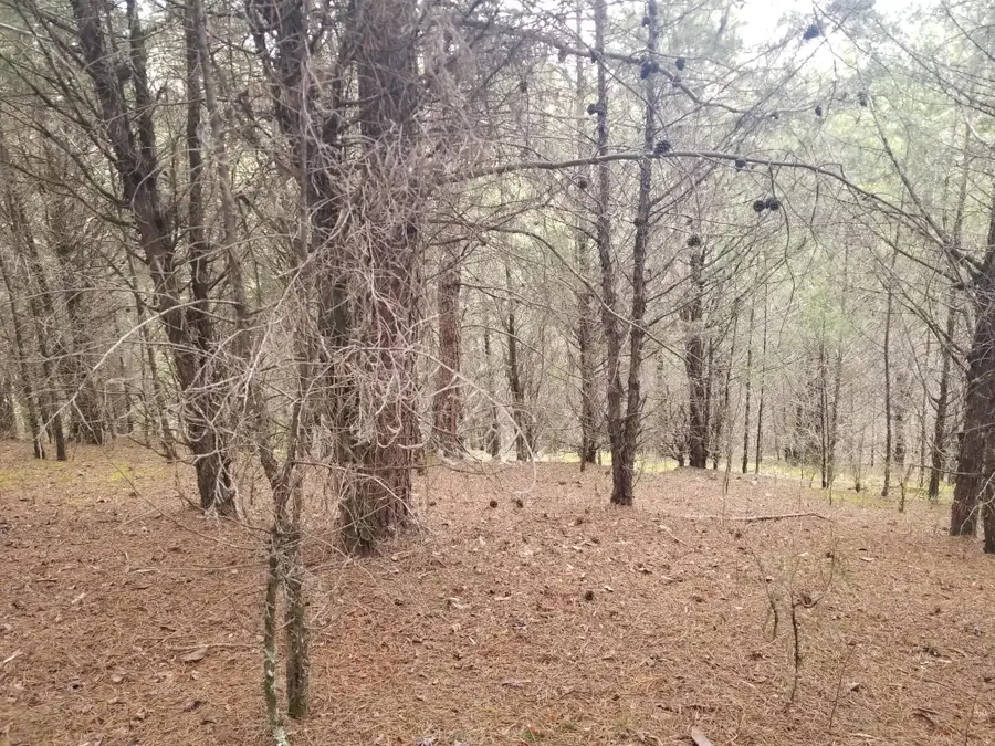 336 Cloud Creek Road, Rogersville, TN 37857 - Image #3