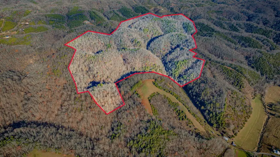 1499 Kessel Hollow Road, Bybee, TN 37713 - Image #2