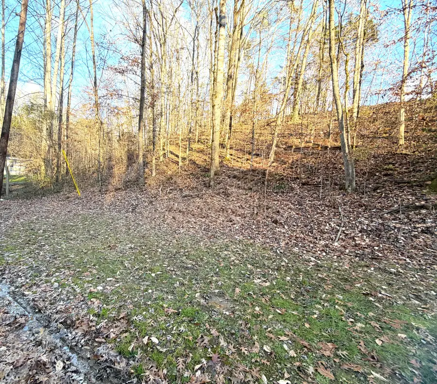 Lot 6 Gibson Road, Strawberry Plains, TN 37871 - Image #3