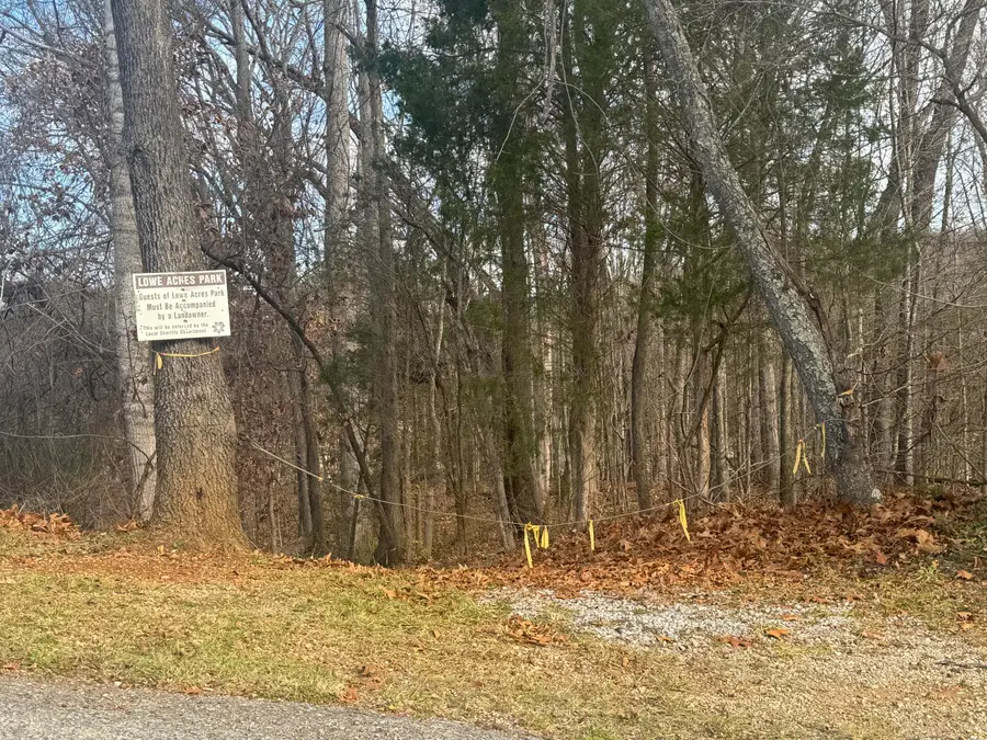 0 Lowe Drive, Talbott, TN 37877 - Image #3