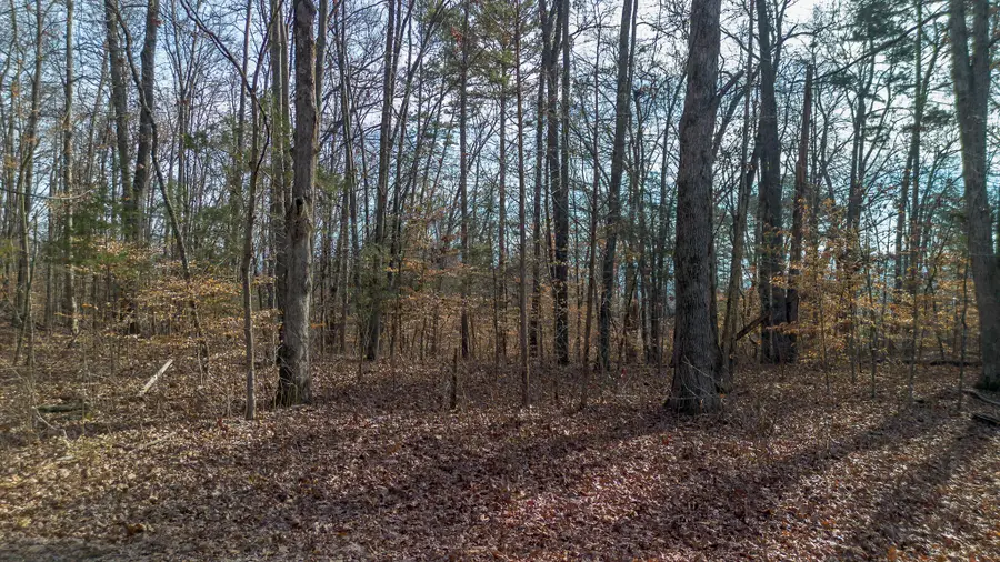 Tract 4 Armstrong Drive, Dandridge, TN 37725 - Image #2