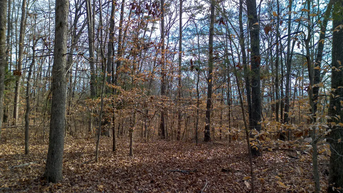 Tract 5 Armstrong Drive, Dandridge, TN 37725 - Image #1