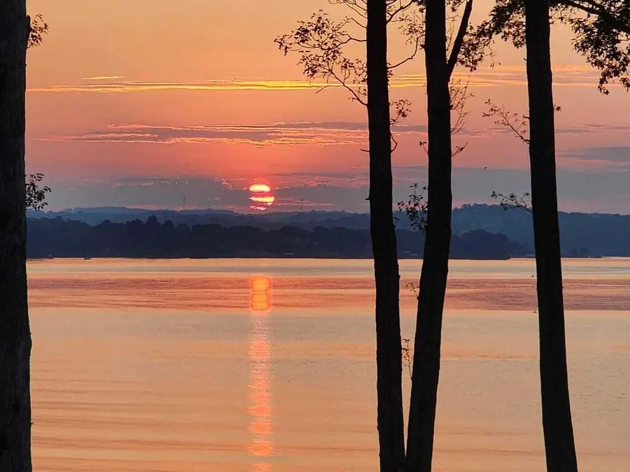 915 Stoneway Court, White Pine, TN 37890 - Image #2