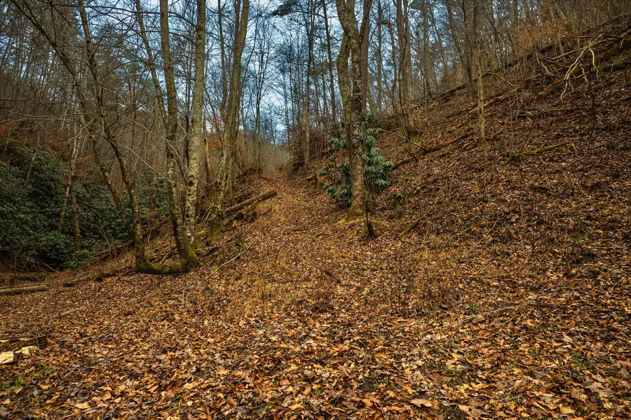 433 Steve Brown Road, Bean Station, TN 37708 - #3