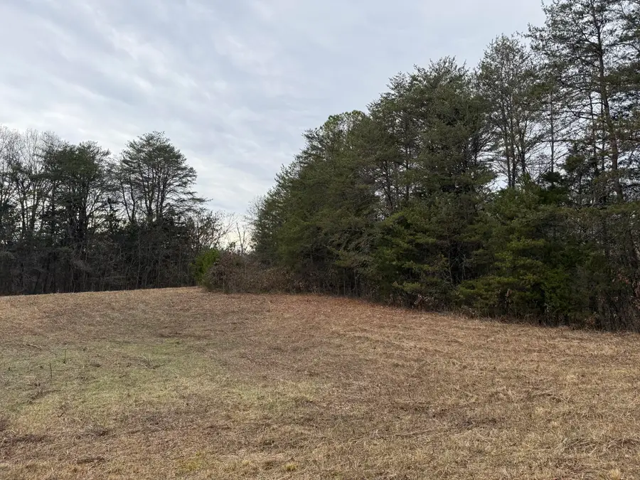 O Off Allen Chapel Road, Parrottsville, TN 37843 - Image #3