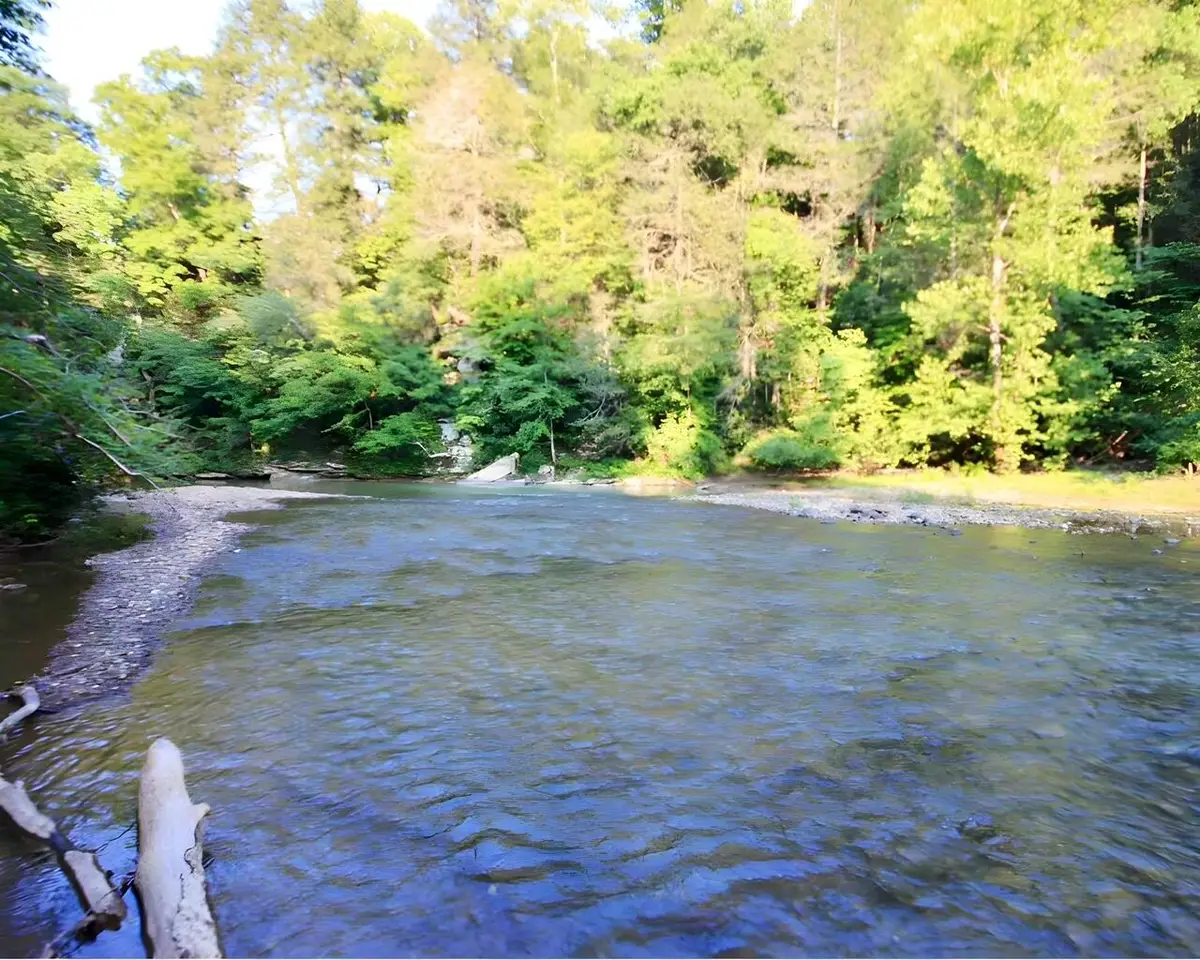 217 Saw Mill Lane, Duff, TN 37729 - Image #1