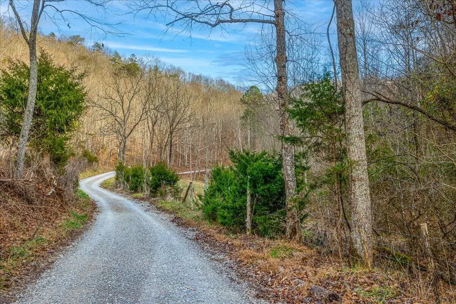 668 Manning Road, Sneedville, TN 37869 - Image #3