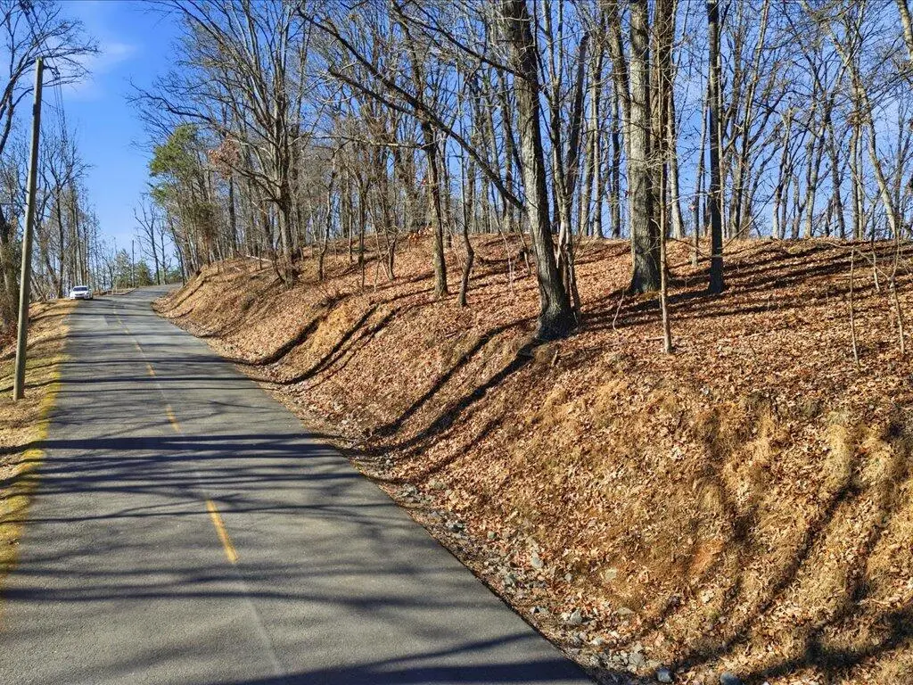 141 Chelaque Way, Mooresburg, TN 37811 - Image #1