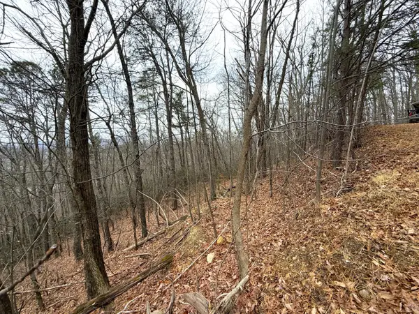 1.01 Ac Green Forest Road, Cosby, TN 37722