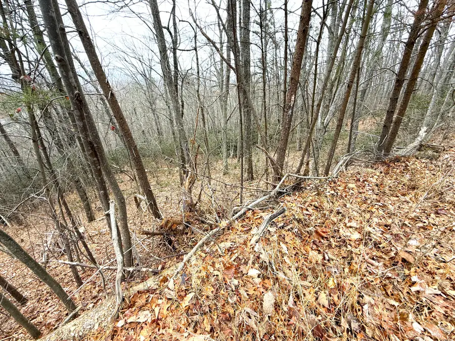 1.01 Ac Green Forest Road, Cosby, TN 37722 - Image #2