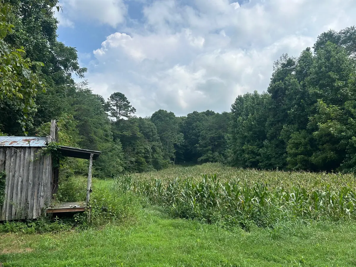 Tract 17 Pleasant View Cemetery Road, New Market, TN 37820 - #1
