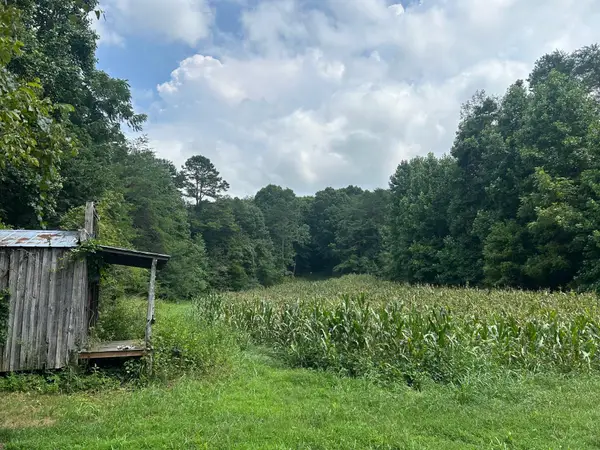 Tract 17 Pleasant View Cemetery Road, New Market, TN 37820