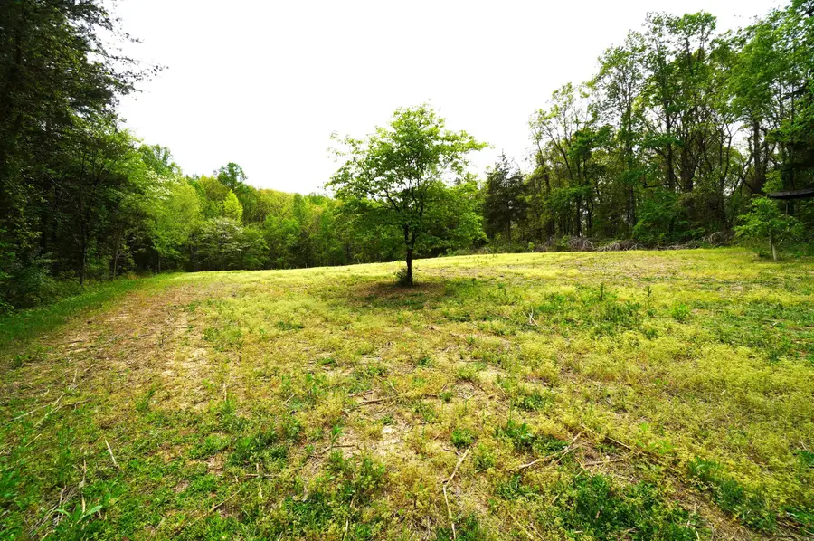 Tract 19 Pleasant View Cemetery Road, New Market, TN 37820 - #2