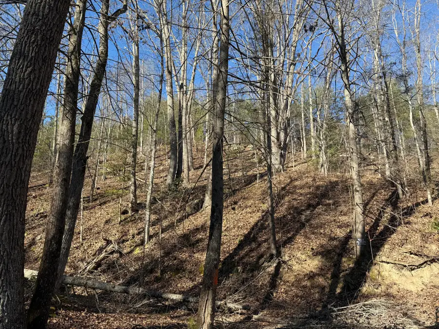 805 Bogard Crk Road, Cosby, TN 37722 - Image #2