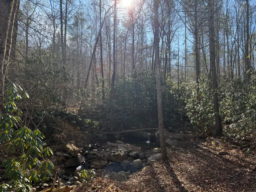 805 Bogard Crk Road, Cosby, TN 37722 - Image #3