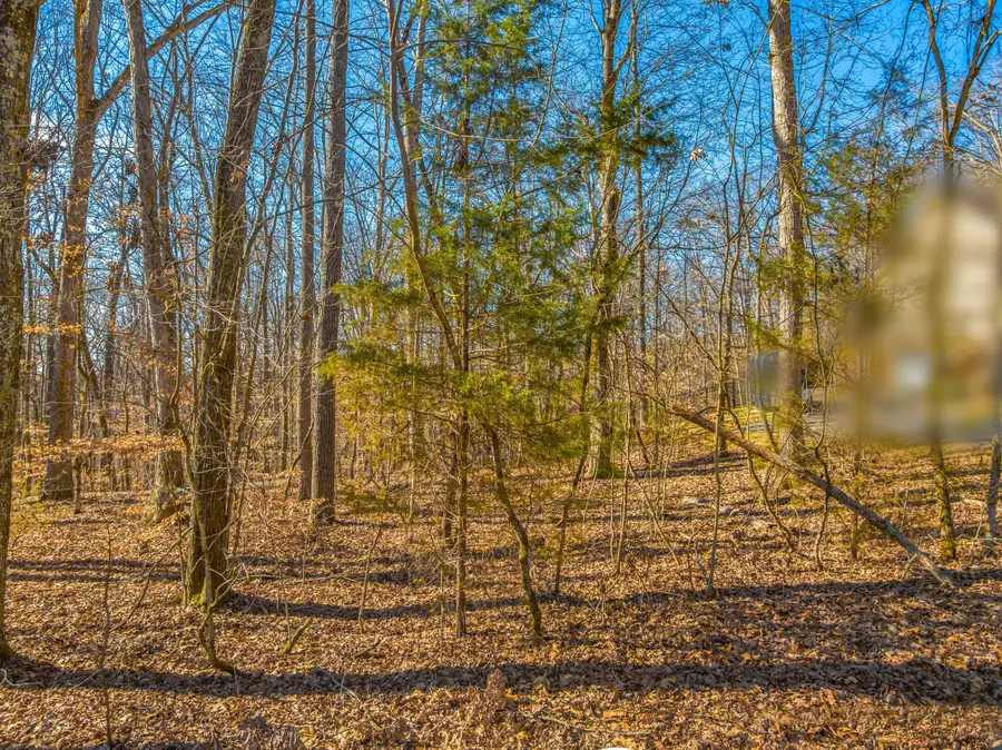 Lot 60 Mallard Baye, Rutledge, TN 37861 - Image #3