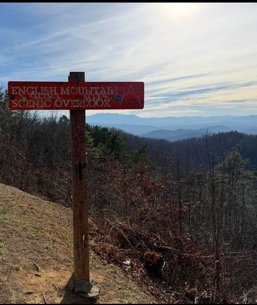 3 Swann Saddle, Sevierville, TN 37876 - Image #3