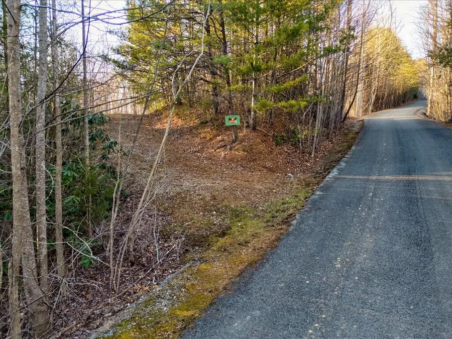 Lot 31 Sonshine Ridge Road, Cosby, TN 37722 - Image #2