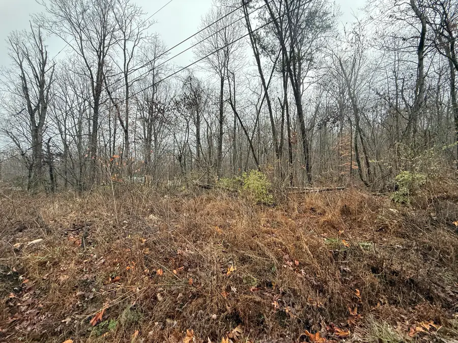 3680 Collier Loop, Dandridge, TN 37725 - Image #3