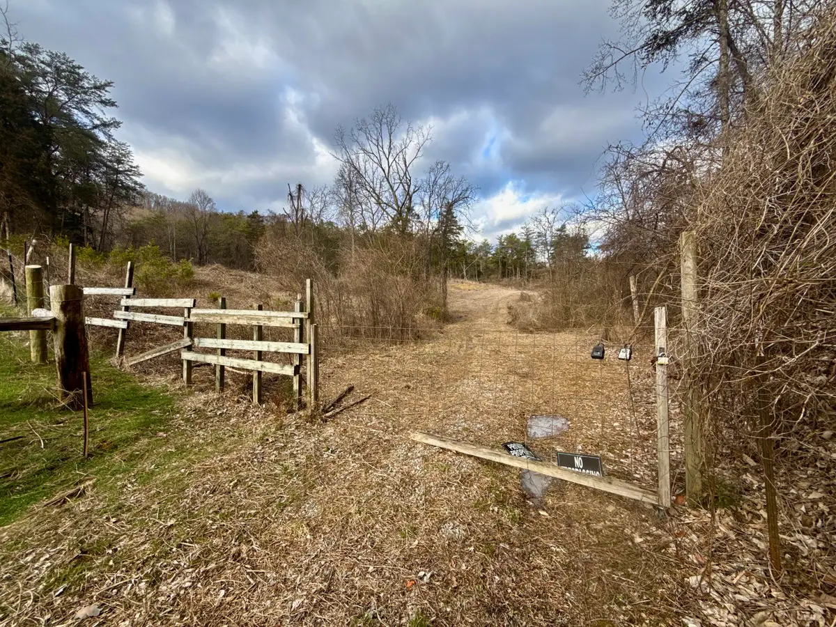25/Ac Tbd Coy Bradley Lane, Bulls Gap, TN 37711 - Image #1