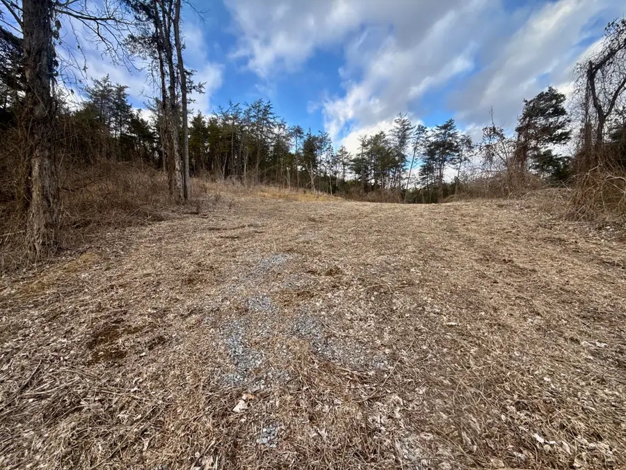 25/Ac Tbd Coy Bradley Lane, Bulls Gap, TN 37711 - Image #3