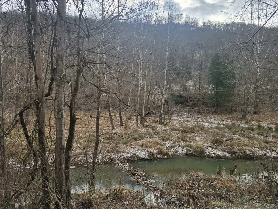 6431 Snake Hollow Road, Sneedville, TN 37869 - Image #3