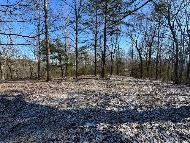 Lot 15 Under The Sun Road, Cosby, TN 37722 - #2
