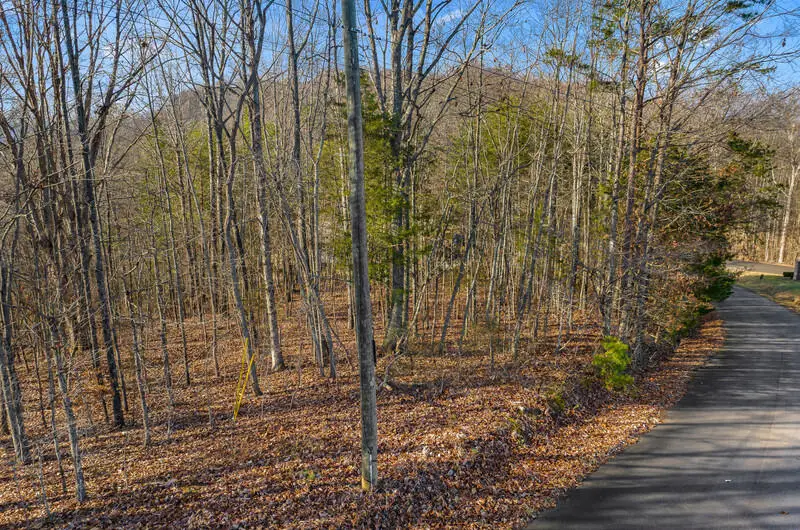 lot 18/19 Overton Road, Maynardville, TN 37807 - Image #2