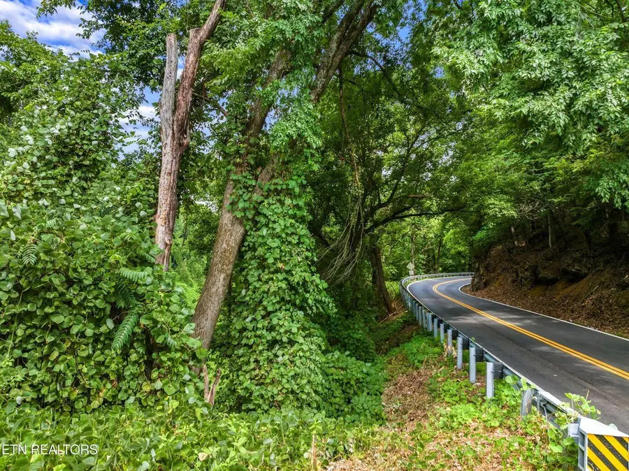 TBD Highway 66 N, Rogersville, TN 37857 - Image #2