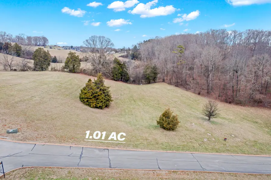 Lot 65 Cow Poke Lane, Rutledge, TN 37861 - Image #3