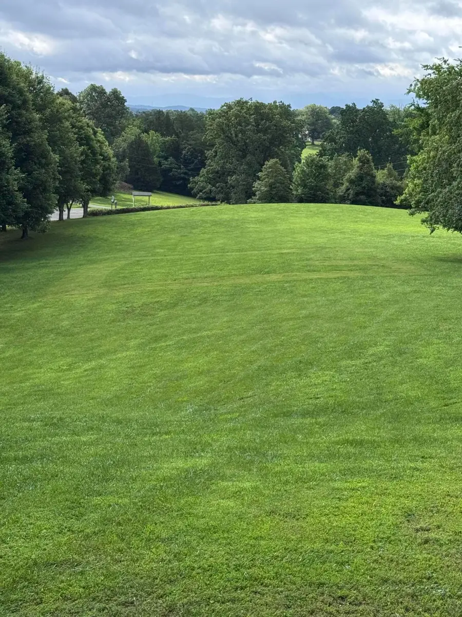 3045 Shallow Ridge Road, White Pine, TN 37890 - Image #2