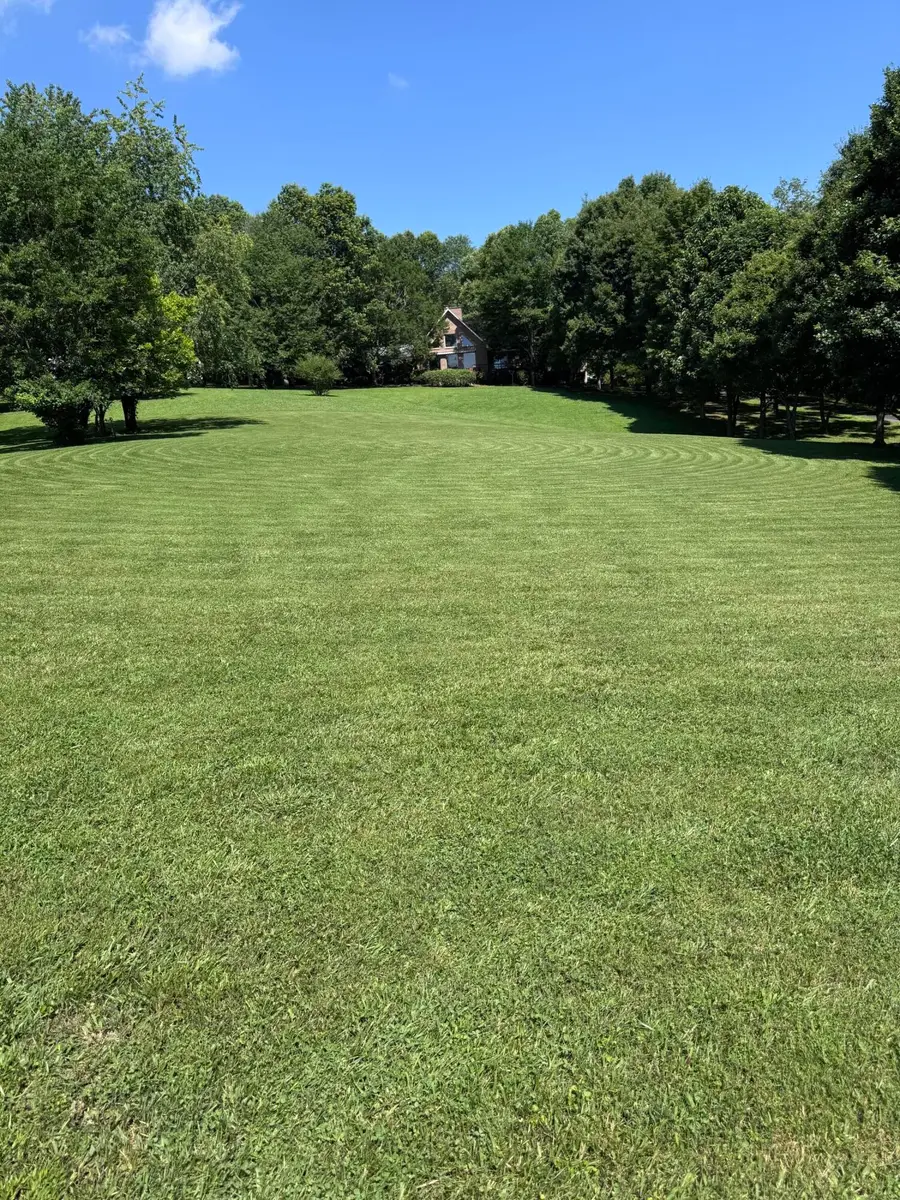 3045 Shallow Ridge Road, White Pine, TN 37890 - Image #3