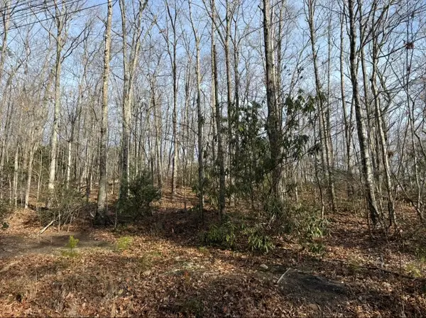 5,6 Swann Saddle, Sevierville, TN 37876