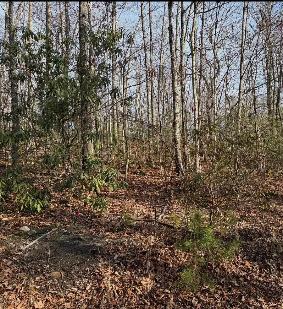 5,6 Swann Saddle, Sevierville, TN 37876 - Image #2